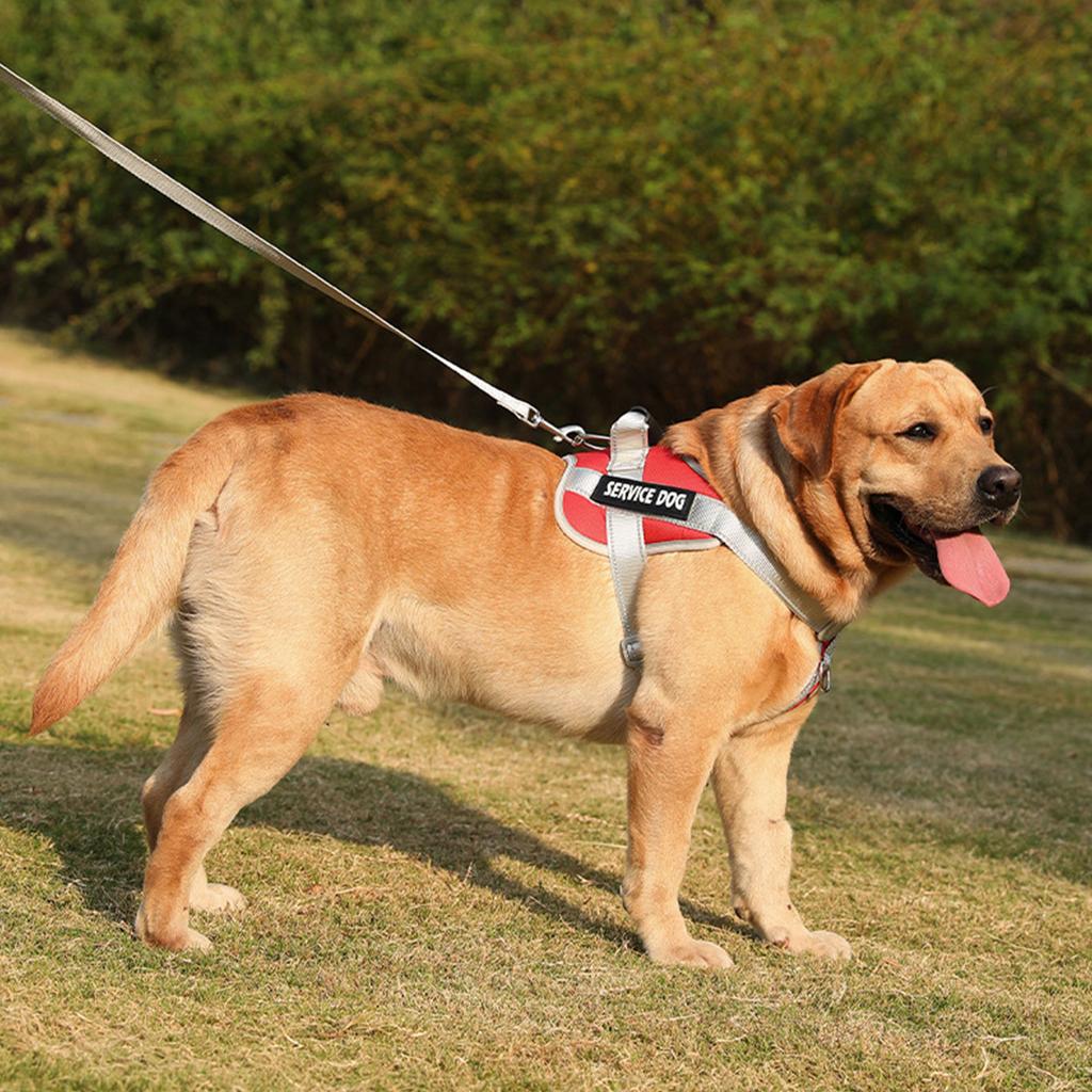 Reflective Dog Harness For Large Dogs No Pull Dogs Harness And Leash Dog Vest