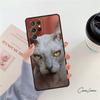 Sphynx Sphinx Cat Phone Case For Samsung Galaxy S24 S25 S23 S22 Ultra Note 10 20 Plus S20 S21 FE Cover