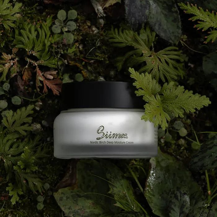 Nordic Birch Birch Moisture Cream