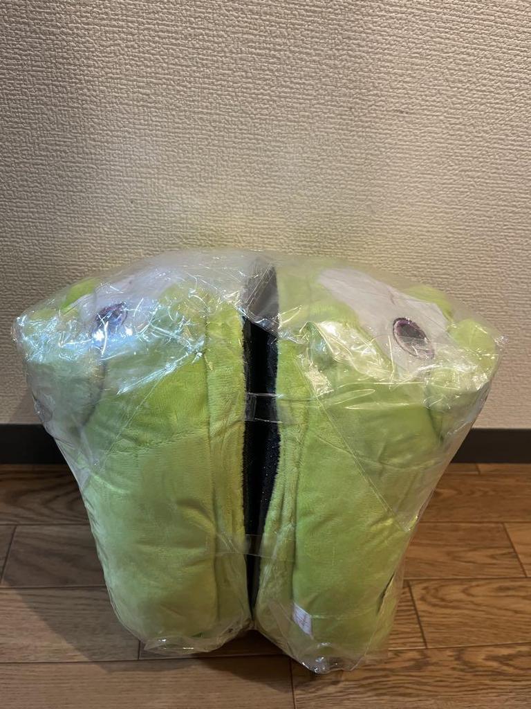 [USED] GiGO Exclusive TWICE LOVELYS Plush Slippers Jeongyeon