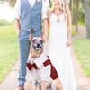 Dog Tuxedo Formal Dog Suit Shirt with Bow Tie Pet Stripe Suit for Wedding Birthday Party Puppy Prince Costume for French Bulldog