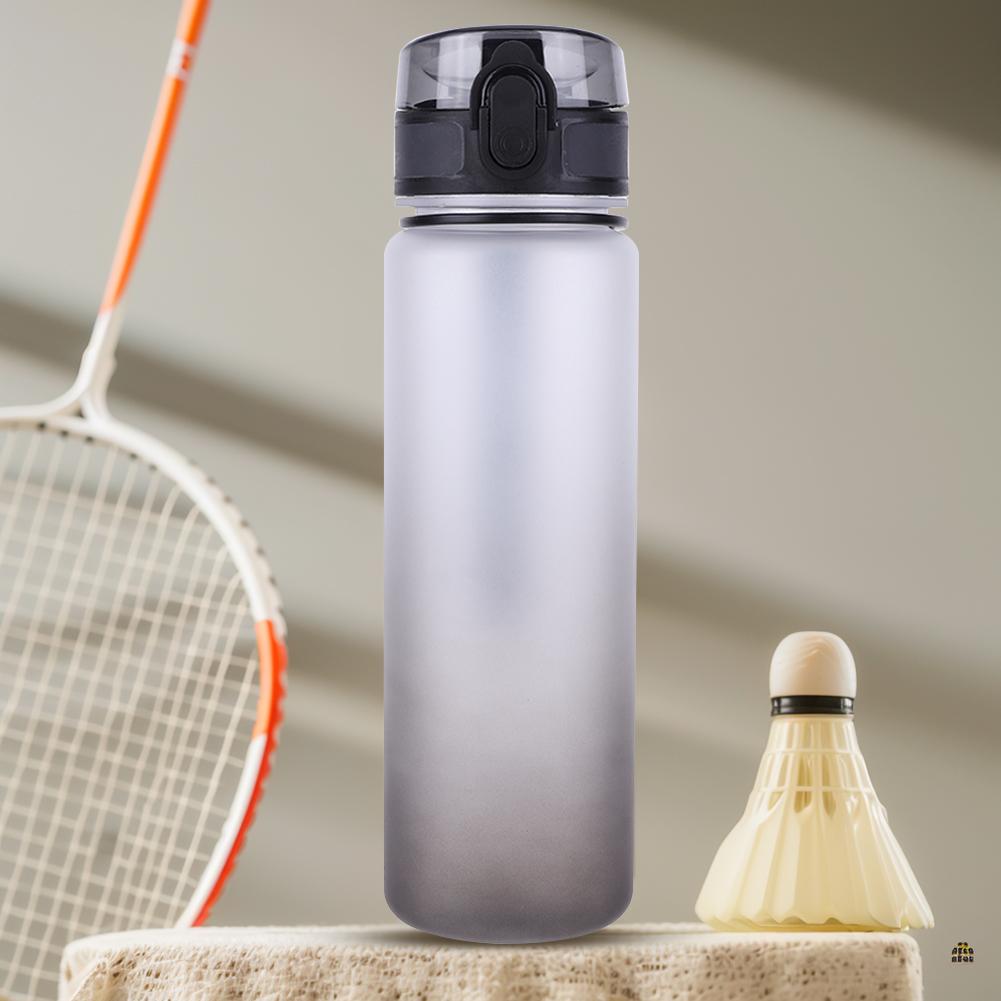 500ml Sports Water Bottle Frosted Progressive Color Drinking Water Cup with Handle Gradient for Gym Outdoor Sports Camping