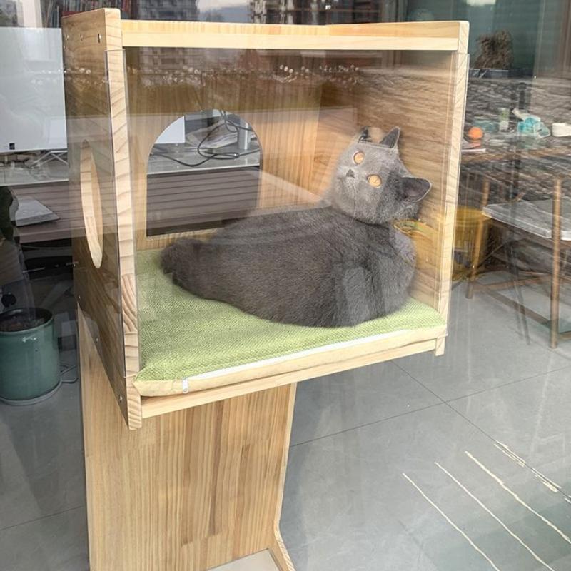 High Solid Wood Cat Scratching Post Glass Bounce House Lair Wall Cats Tree Pulls Scratches Large Tower Bed for Cat Indoor Toy