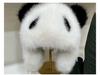Winter Warm Raccoon Hat for Adults & Kids - Cute Scenic Photo Accessory