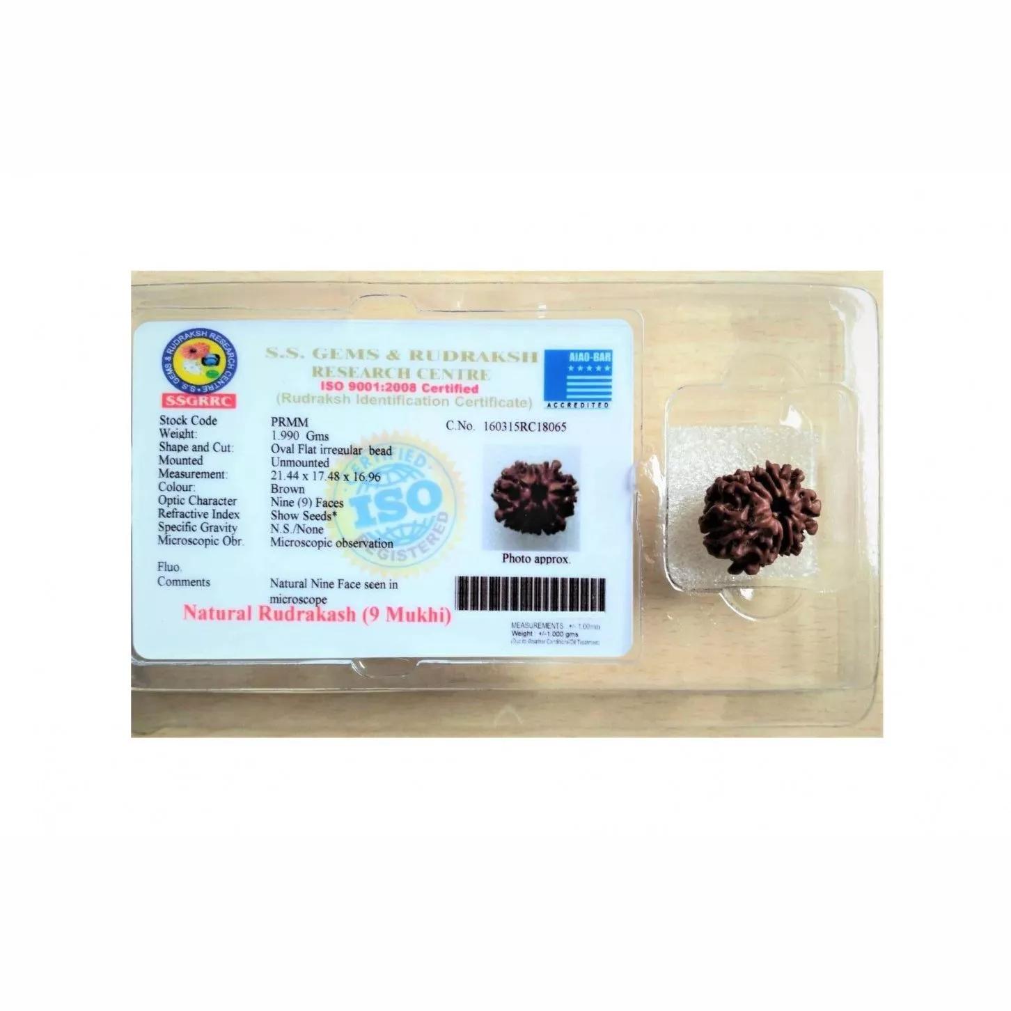 Рудракша сертифицированная (9 мукхи), 9 Mukhi Certified Rudraksha (Nepal Origin), Kalyan Puja