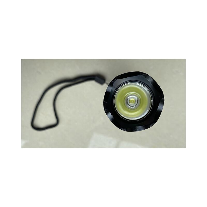 Tactical Security Flashlight Baton