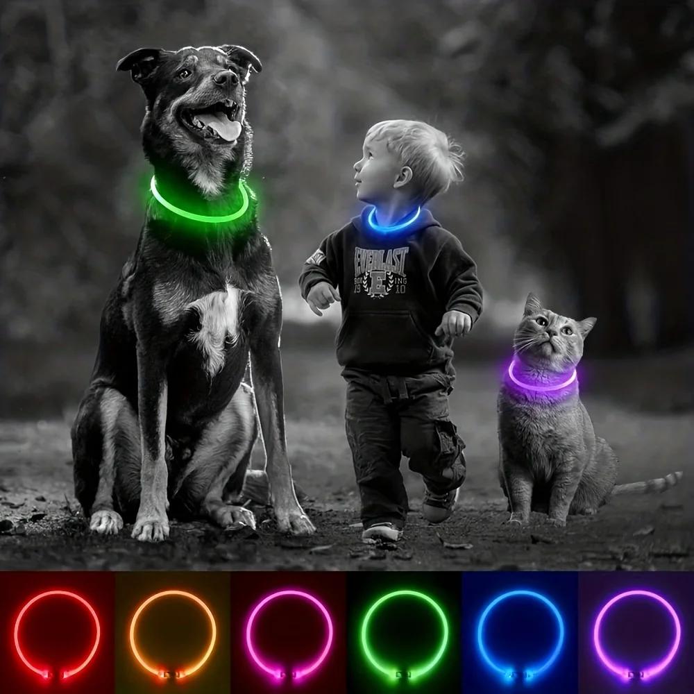 USB-wiederaufladbarer Glasfaser-Halsband Haustier Hund LED-Licht-Halsband Leuchtendes Anti-Verlust Hundehalsband USB-wiederaufladbares Hundehalsband Halsband