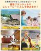 Aluminum Aluminum Survival Low Rustling Akamaru Disaster Prevention Sheet, Blanket, Sheet, Noise, Quiet, (3)