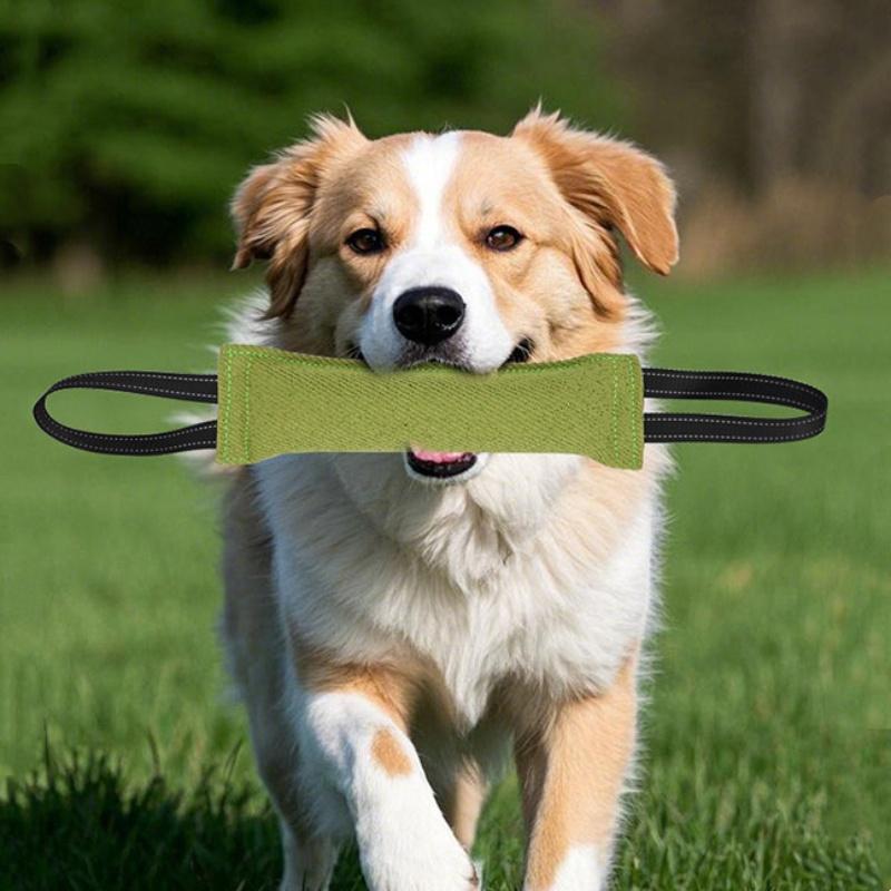 Interactive Pet Molar Toys for Small Medium Large Dogs Bite-resistant Dog Tug Of War Toys Durable Puppy Chewing Toy Pet Supplies