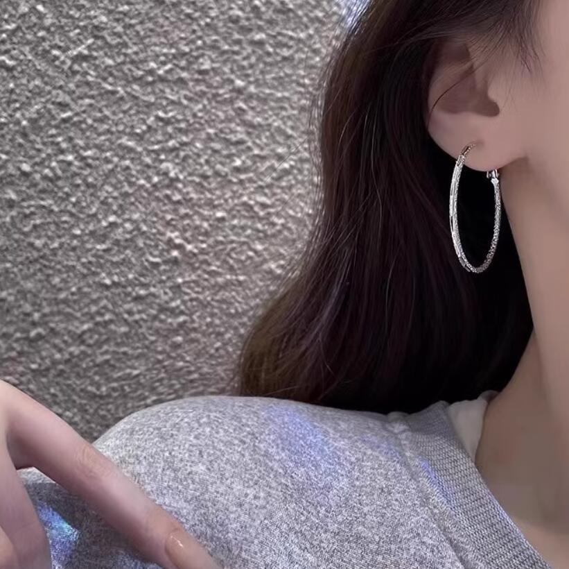 Autumn-Winter Personalized Elegant Hoop Earrings - Simple, Stylish, Light Luxury, High-End Fashion for Women