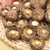 Dried Shiitake Mushrooms Edible Fungus Natural Healthy Nutritious Gourmet