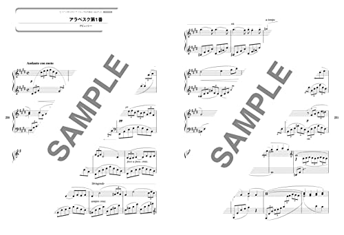 Piano Solo: A Collection of Classic Masterpieces You'll Want To Play On the Piano. [Deluxe Collector's Edition]