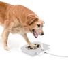 Dog Drinking Water Fountain Step On Water Dispenser System for Pet Dogs Feeder