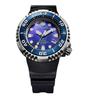 Citizen Promaster Marine Eco-Drive 300M Saphir Herrenuhr BN1025-08L