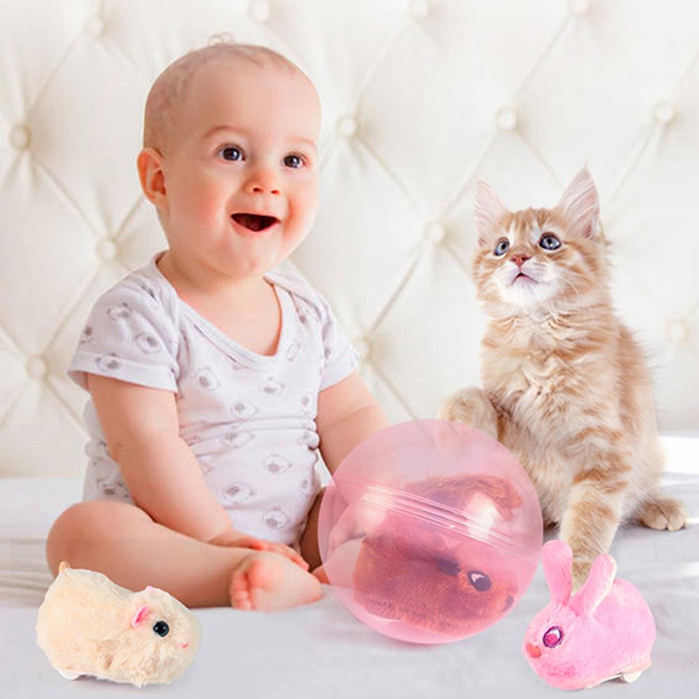 Buy Cat Teaser Interactive Animal Ball Puppy Training Pet Kitten Chase