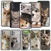 Kawaii Love Cat Phone Case For Samsung Galaxy A17 A07 A55 A35 A25 A15 A05s A33 5G A31 A23 A21s A13 A41 A73 A53 A51 A71 A03 Cover