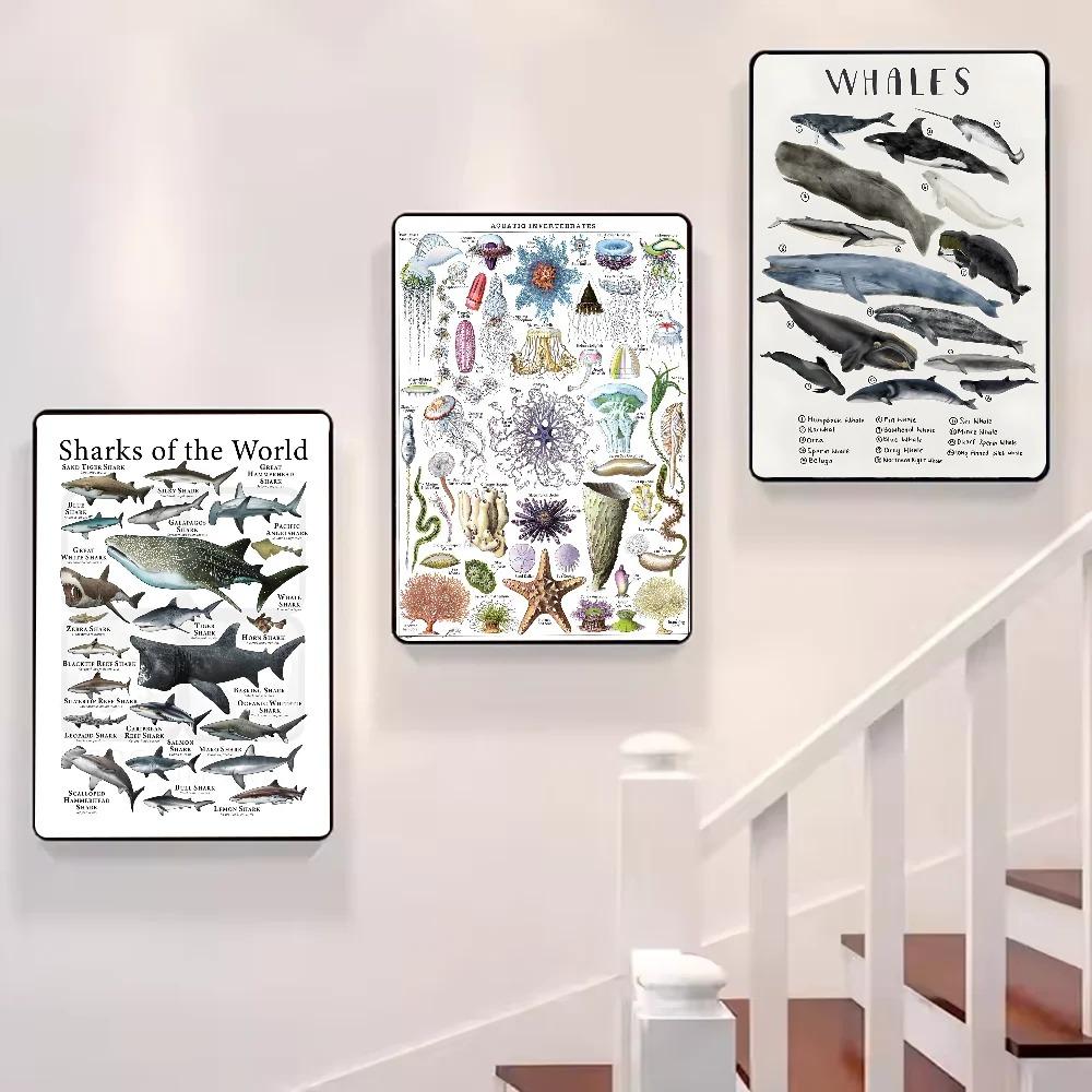 Whale and Shark Seashells Turtles Octopus Fish Marine Life Ocean Animals Poster and Print Canvas Painting  Wall Art Home Living Room