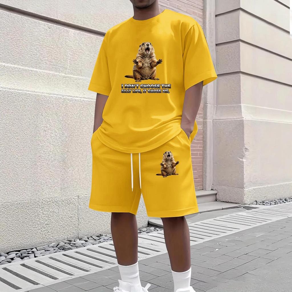 Men's Casual Two Piece Set Short Sleeve Crew Neck T Shirt and Shorts with Animal Print Loose Fit Summer Outfit Comfortable Daily Wear