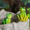Mini Garden Frog Ornament Cartoon Micro Landscape Decoration Frog Figurines  Bonsai