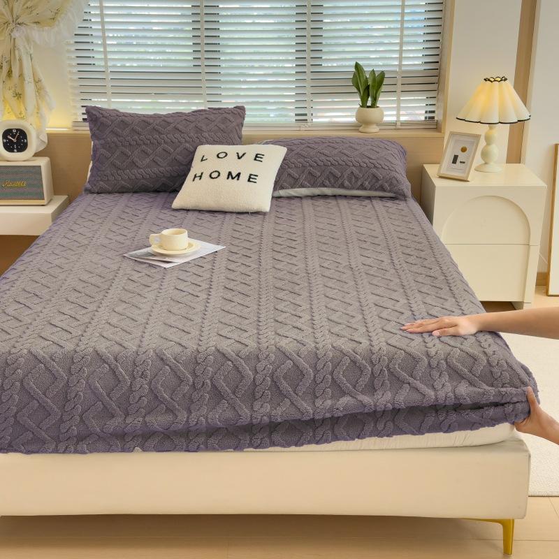 2025New Thickened Warm Bed Sheet Single Piece Autumn Winter Coral Fleece Bed Sheet Taffeta Mattress Protector