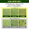[No Weed Control Sheet Required] Iris Ohyama Domestic Weed Control Artificial Grass 1m X 10m Integrated Weed Control Sheet Grass Height 3cm Comes with