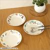 Yamaka Shoten MOOMIN Pasta curry diameter tableware Moomin character Nordic birthday microwave made in "Herbarium" dish, dish, approx. 22cm, 3-piece