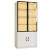 120*40*160 cm Combination Display Cabinet with LED Lighting – Made of Smoked Glass with Aluminum Frame and Two Doors in the Lower Section, Sideboard