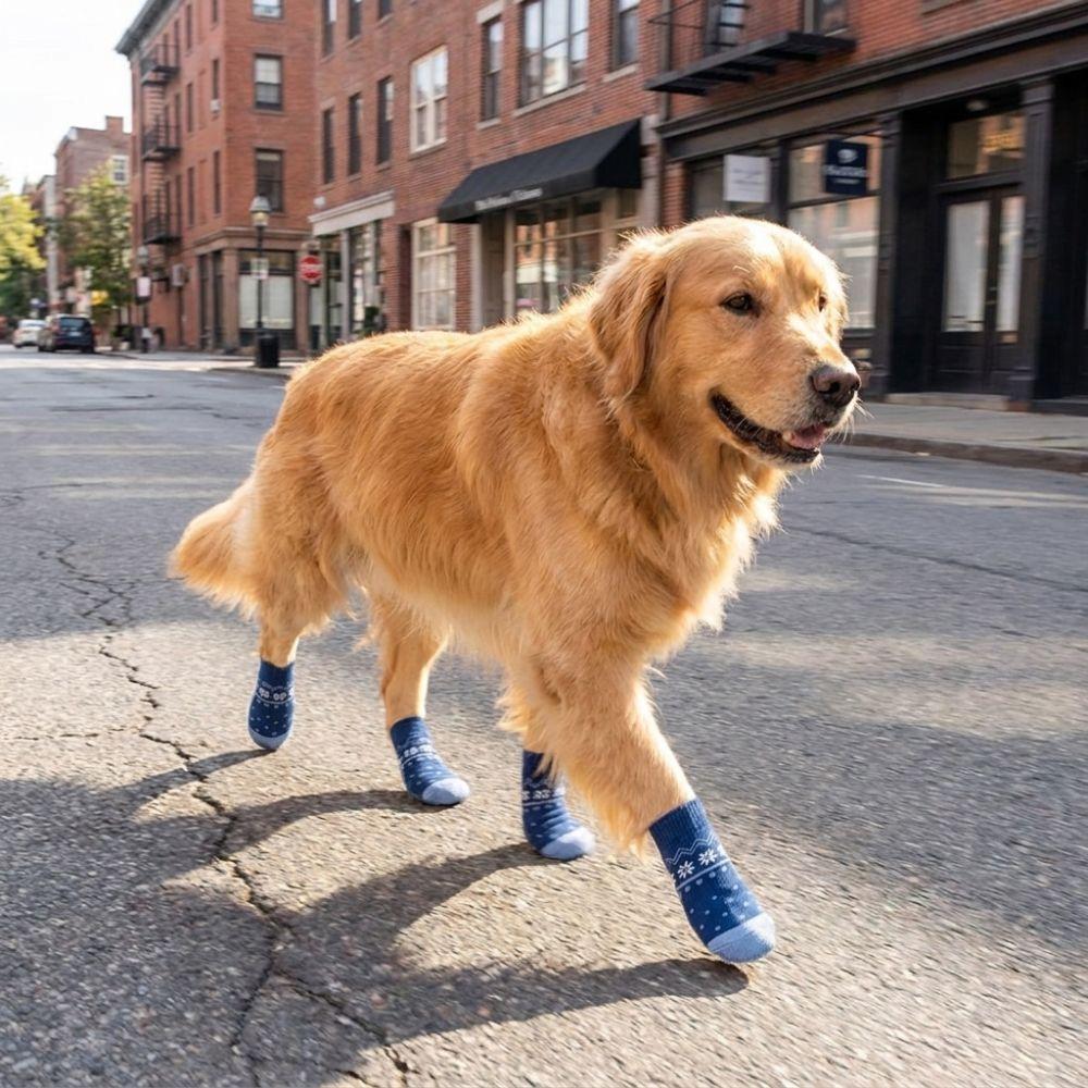 4PCS Adjustable Anti Slip Dog Socks Breathable Puppy Shoes Socks Pet Foot Covers  Outdoor Use
