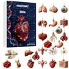 2026 Human Anatomy Christmas Advent Calendar Blind Box 24 Organ Pendants Interesting Blind Box for Medical Enthusiasts