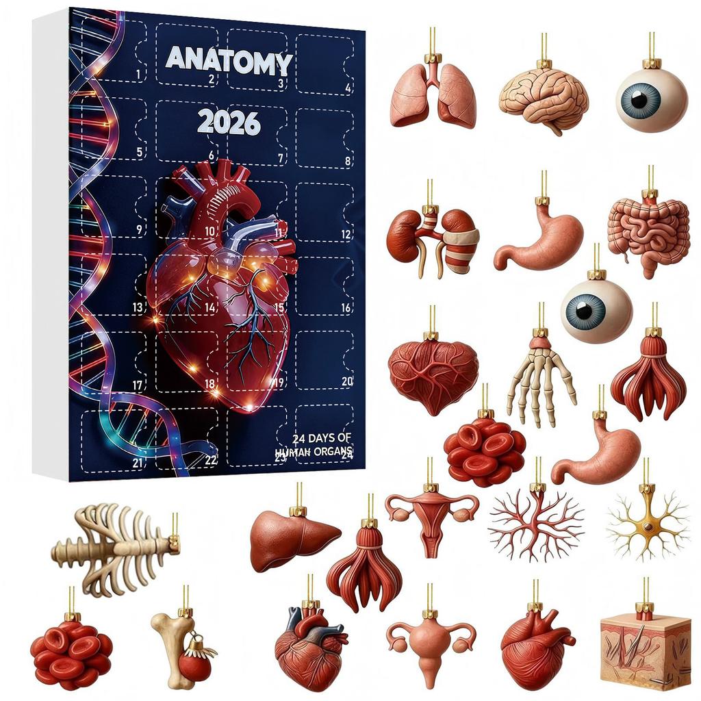 2026 Human Anatomy Christmas Advent Calendar Blind Box 24 Organ Pendants Interesting Blind Box for Medical Enthusiasts