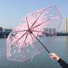Waterproof Cherry Blossom Transparent Umbrella Funny Manual Umbrella Folding Umbrella  Outdoor