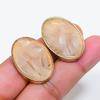 Natural Dendrite Opal Gemstone Brass Jewelry Earring 1.18" RE-211
