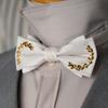 Elegant Gentleman's Bow Tie England Style Korean Style Bow Tie Simple Men's Suit Accessory  Man