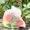 50Pcs Garden Vegetable Fruit Protection Net Mesh Bags Anti Bird Drawstring Bag Gardening ToolL