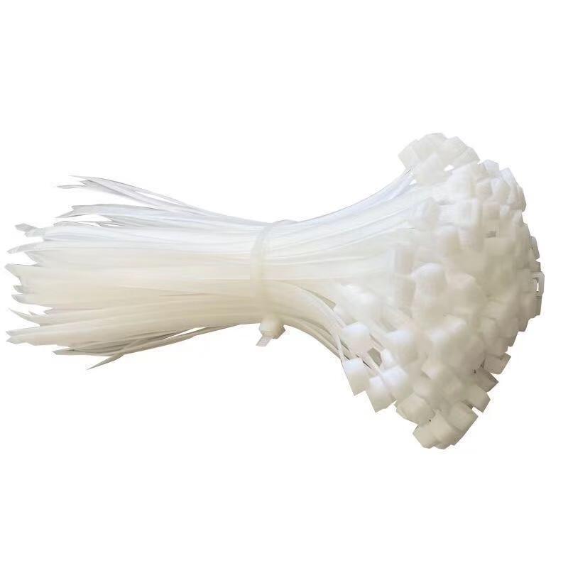 Self-Locking Nylon Cable Ties