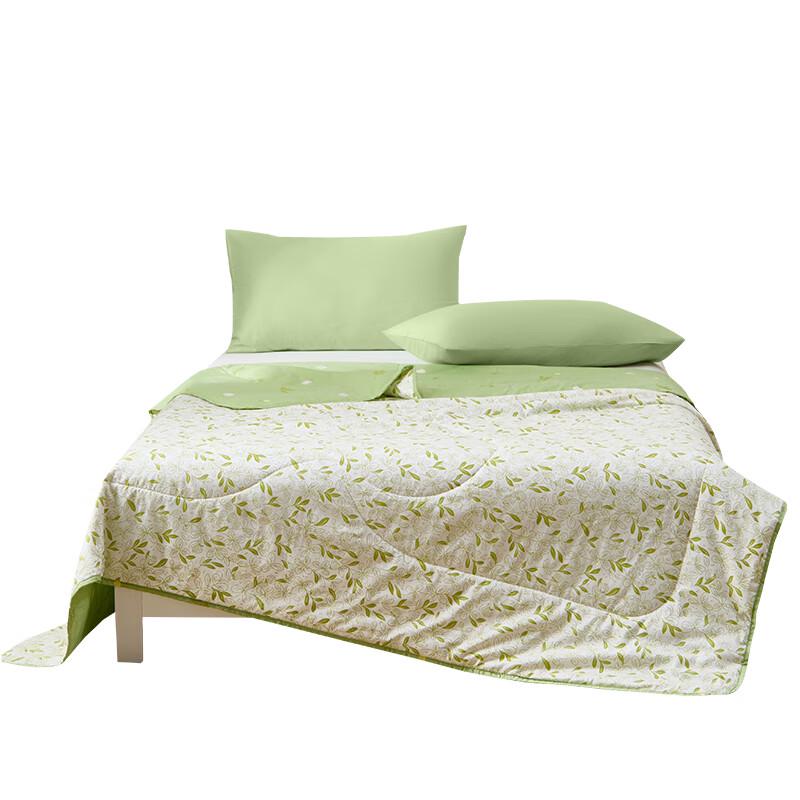 Hengyuanxiang Antibacterial Summer Quilt - Strolling Time Series