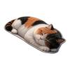 Super Absorbent Diatom Absorbent Doormat Washable Bedroom Carpet  Household Daily Decoration