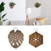 Staghorn Fern Mount Wall Planter Accessories Hanging Planter Wood Frame Multifunctional for Sphagnum Moss Simple Assembly