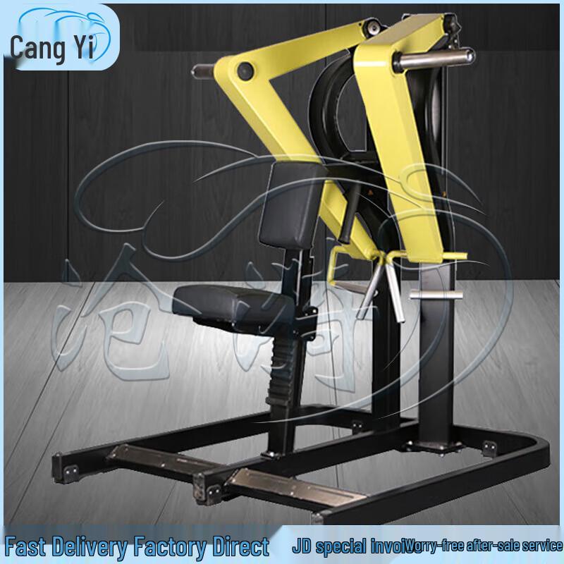 Cangyi Seated Low Row Trainer