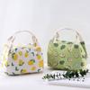 Lunch Carry Bag Insulated Thermal Portable Picnic Bags for Women Children School Travel Food Handbags Bento Camping Supplies