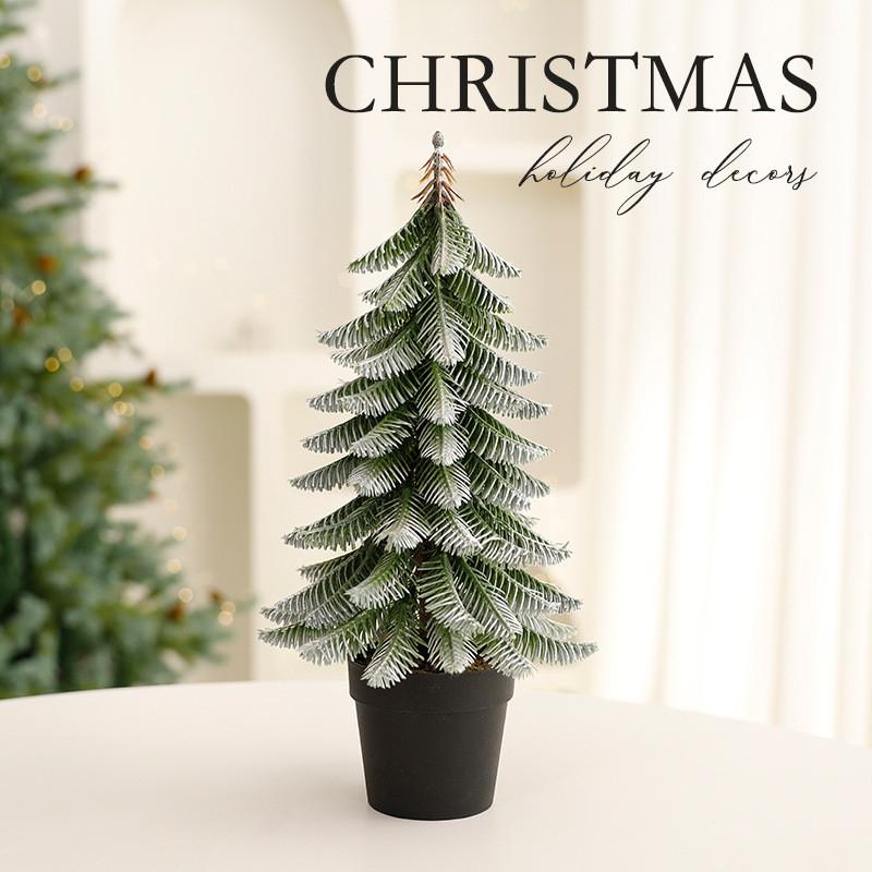 Abies Procera Rehder Holiday Christmas Tree Ornament With Pe Finish For Home Celebration Decor