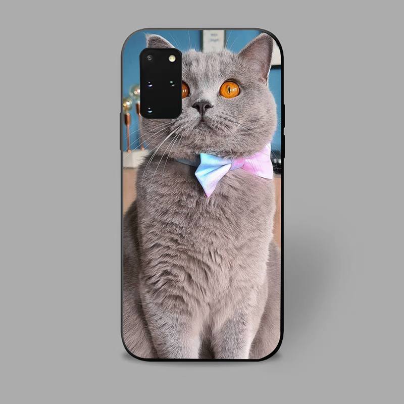 Gray Cat Phone Case For iPhone Samsung Galaxy Redmi Xiaomi Oppo OnePlus Note S A 7 8 9 10 11 12 13 14 20 21 22 23 53 54 Pro Max Plus Ultra TPU Soft