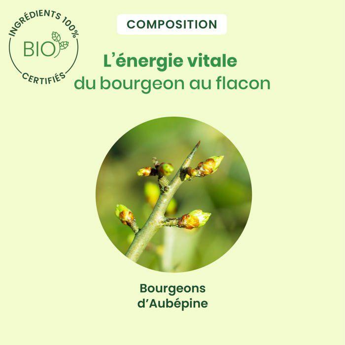 Herbalgem Macérat Concentré Aubépine Bio 30ml