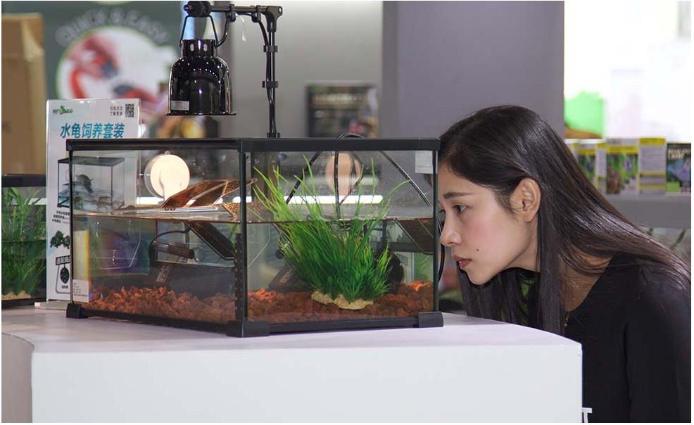 Repti-Zoo Terrarium Ak 21X31X15