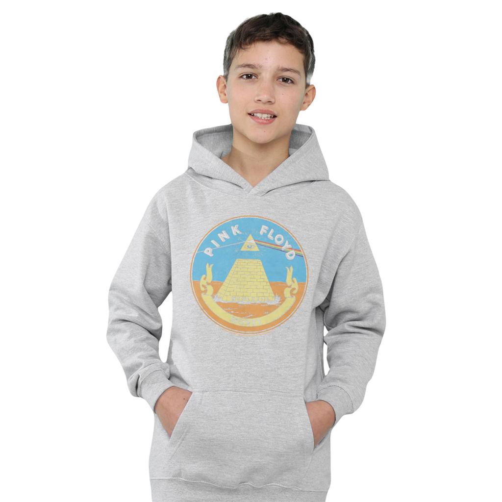 Pink Floyd Childrens/Kids Money Seal Heather Hoodie
