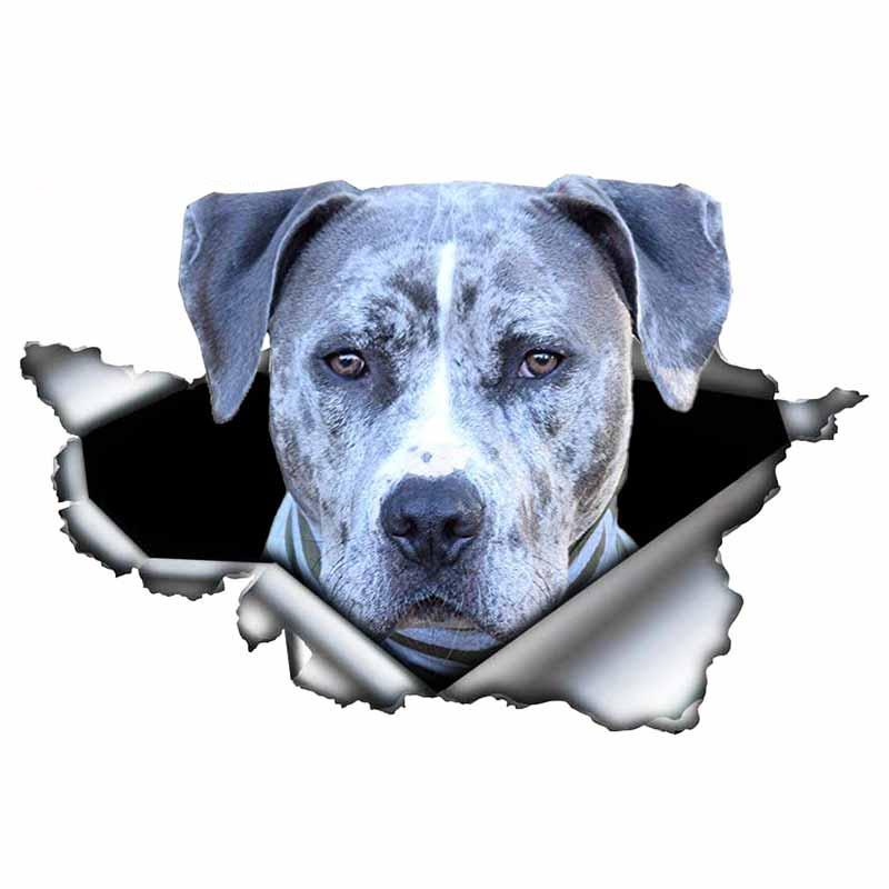 Aufkleber Blauer Pitbull Autoaufkleber Kreativer Zerrissener Metallaufkleber Wasserdichtes Autostyling Haustier Autodekoration