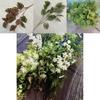 Flexible Artificial Turtle Leaf Plant For Creative Wedding Ornament Party Decor