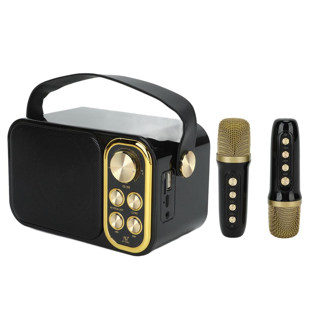 Karaoke Machine with 2 Microphones Karaoke All in One Machine Portable Bluetooth Singing Machine