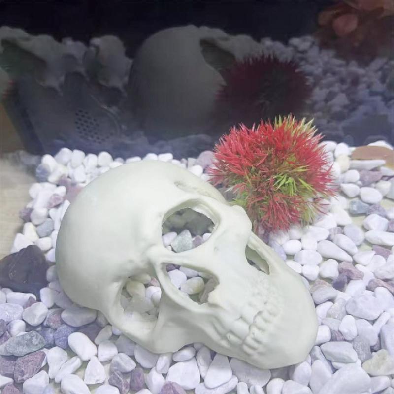 Skull Figurine Accent for Enclosure Styling, Room Display, Shelf Display, and Theme Display Use with Indoor Display