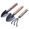 Gardening Mini Tools Set: Small Iron Shovel, Wooden Stick, Iron Rake for Pruning and Soil Digging